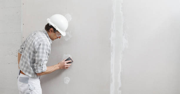 Mold Odor Removal Services in Crandall, TX