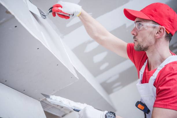 Biohazard Mold Removal in Crandall, TX